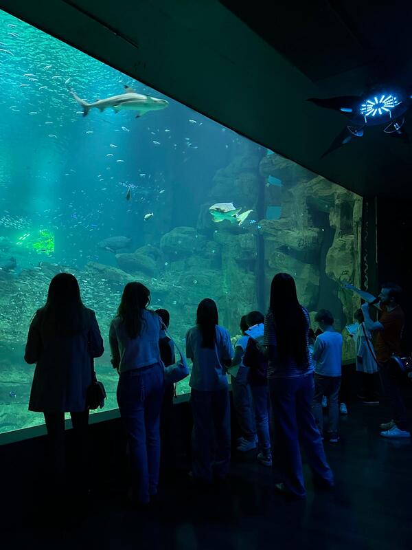 NOC Aquarium 1