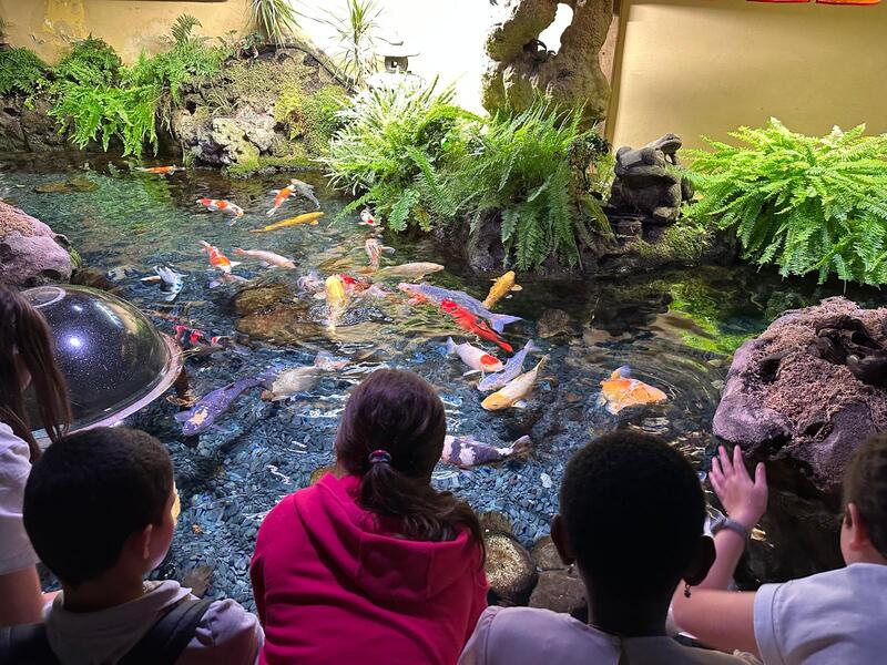NOC Aquarium 2