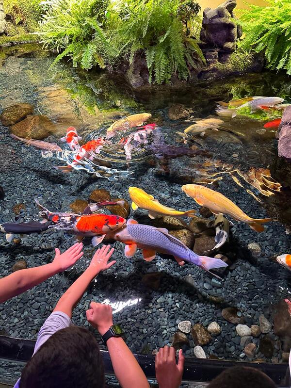 NOC Aquarium 3