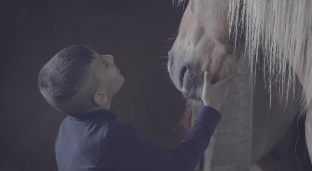 Cheval photo 5